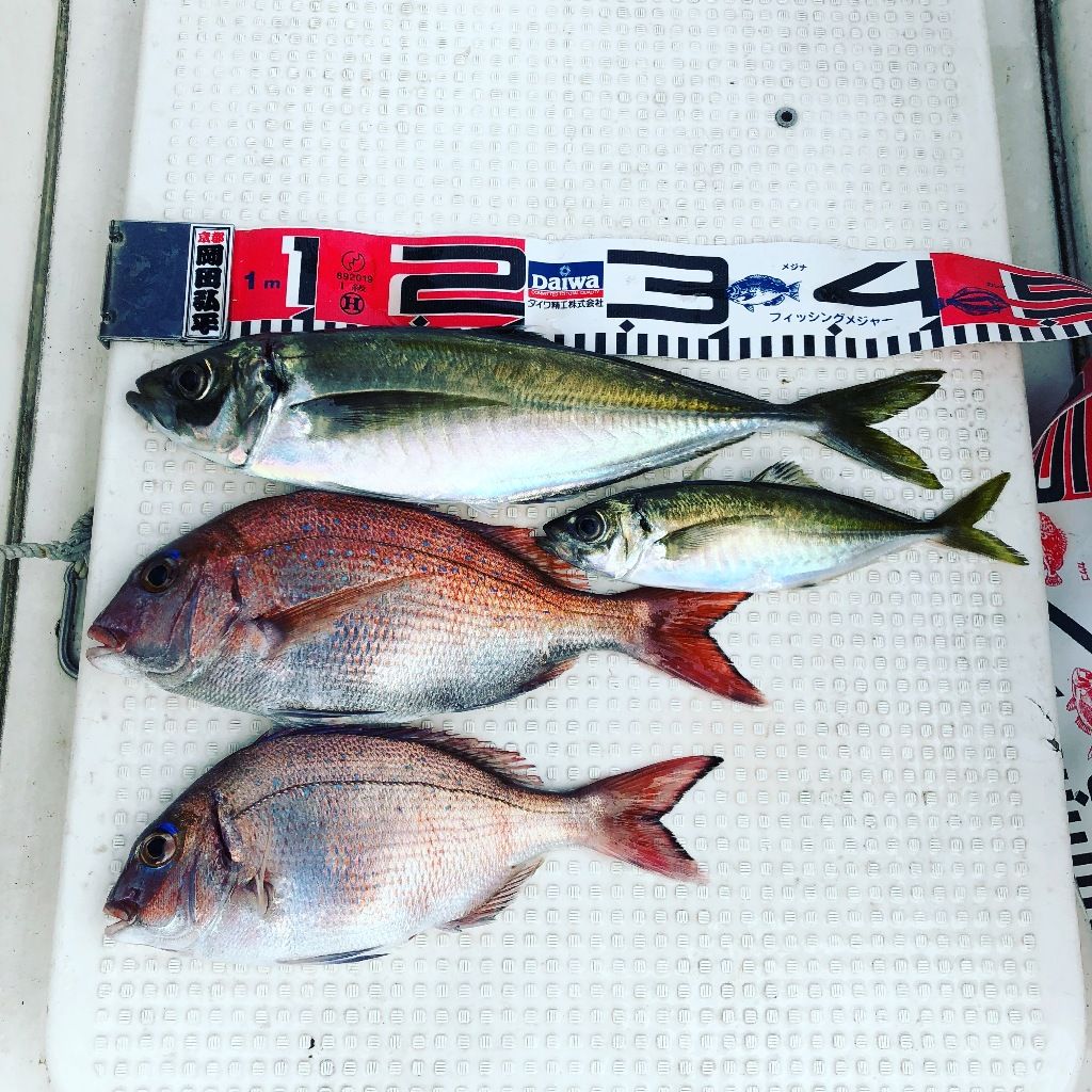 イメージ 3