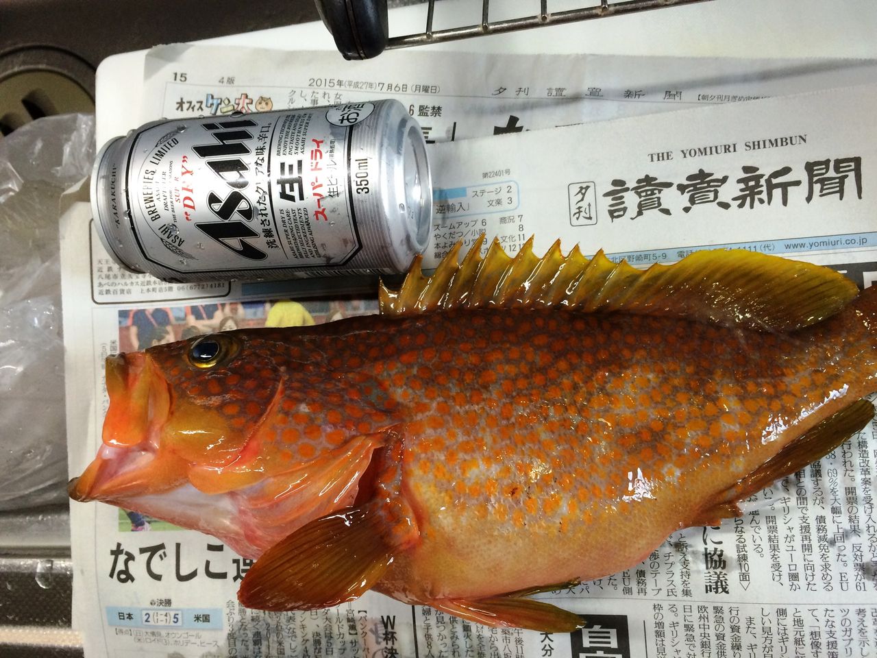 イメージ 1