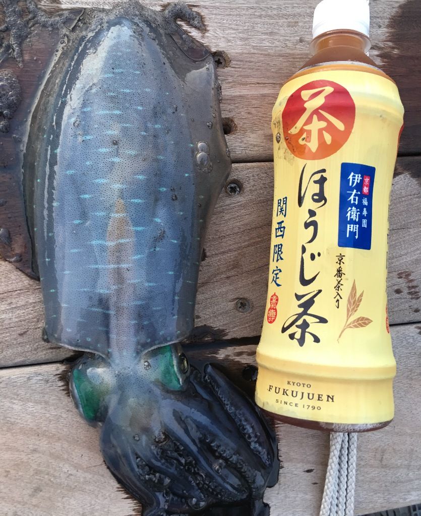 イメージ 2