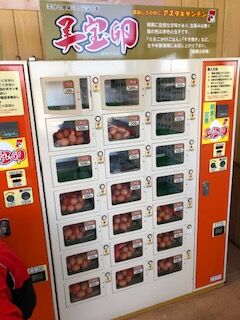 2019 11 13 卵