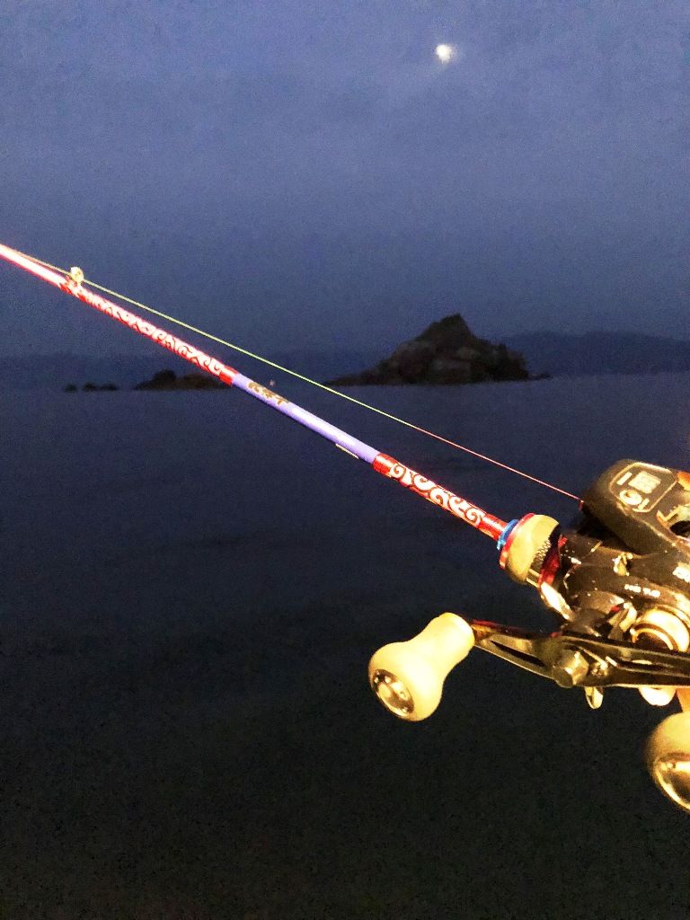 イメージ 4