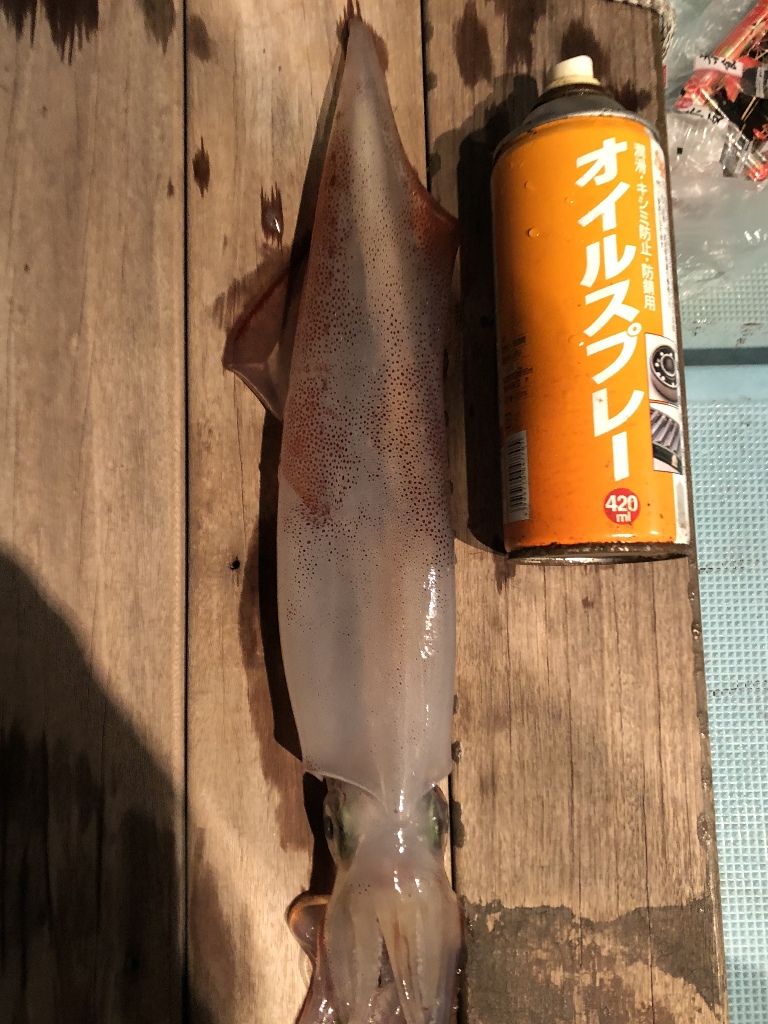 イメージ 4