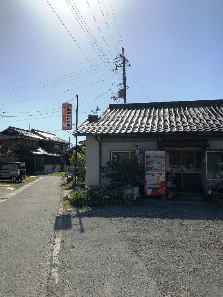イメージ 6