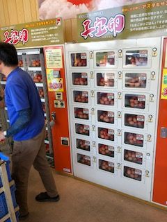 2019 9 14 たなご