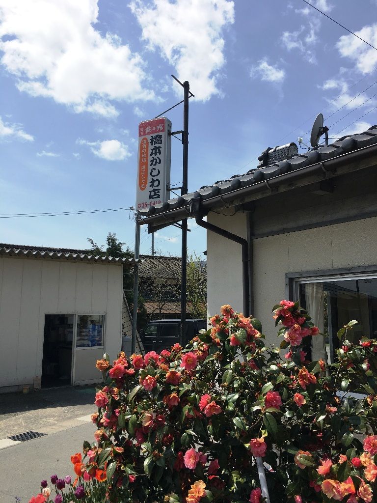 イメージ 7