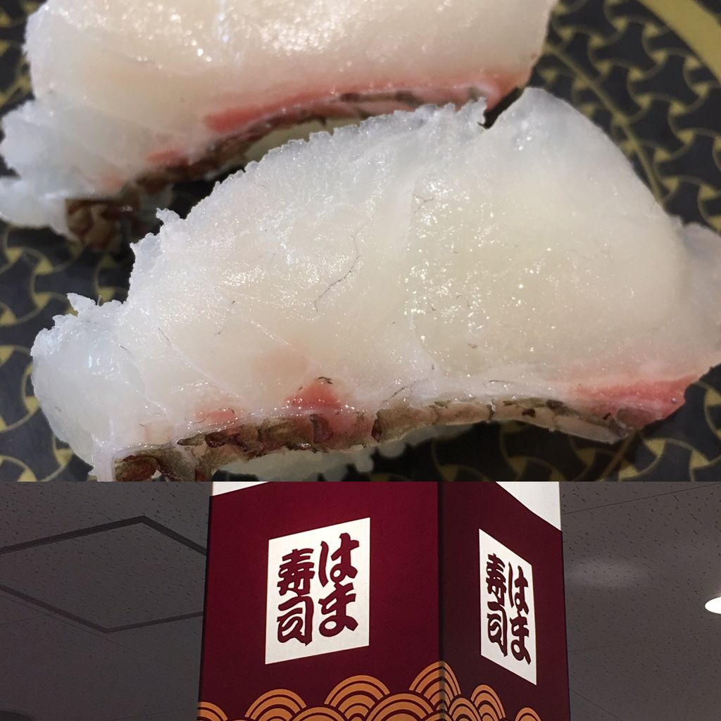 イメージ 5