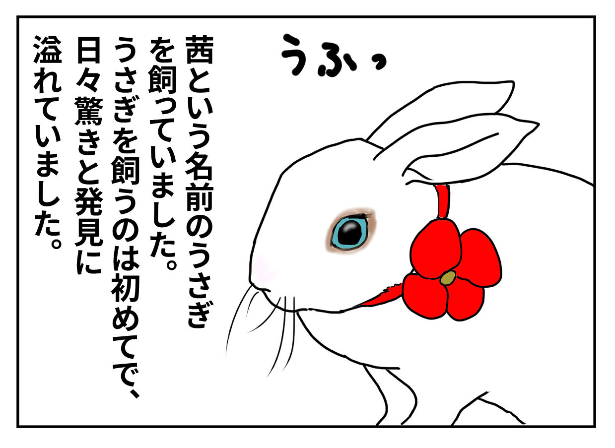 うさぎ初心者がビックリする事 多分 ものぐさ日誌