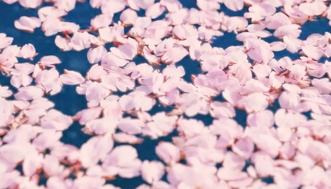 『供花の子』作品スチール2
