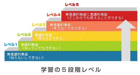 img_study5level