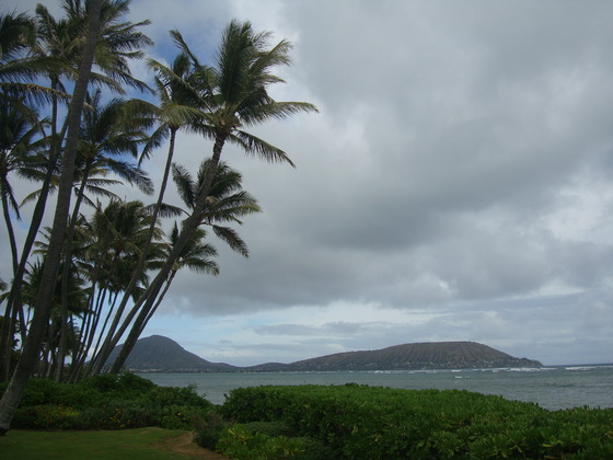 DSC09903