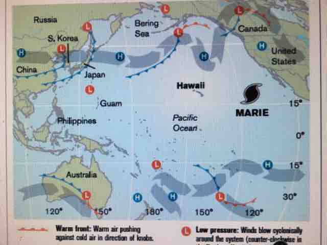 大統領感染からわかること 楽園ハワイと私