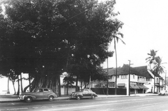 E553B731-AEF1-48DA-9E7A-DAF281CF0922