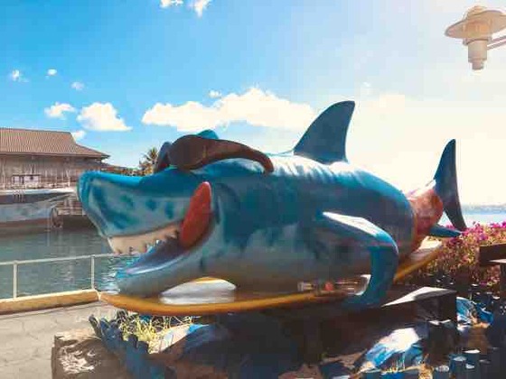 サメに襲われ死亡 : 楽園ハワイと私