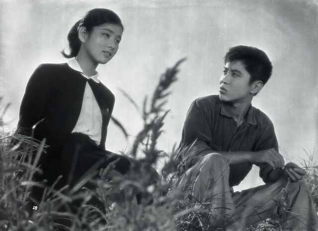 吉永小百合　17作品　ガラスの中の少女　つる　潮騒　青い山脈　など　レンタル落ち 吉永小百合 17作品 ガラスの中の少女 つる 潮騒 青い山脈 など