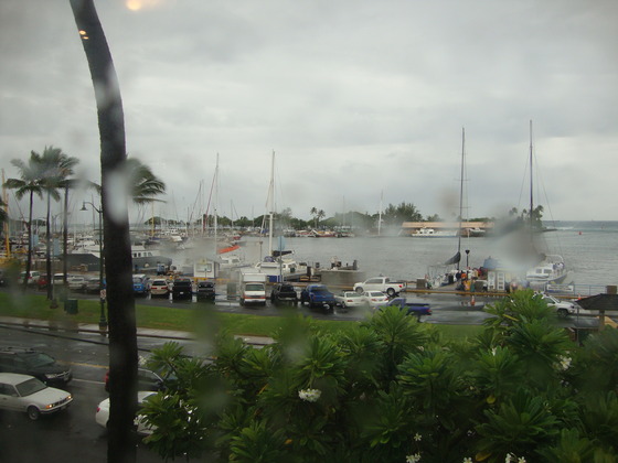 DSC00628
