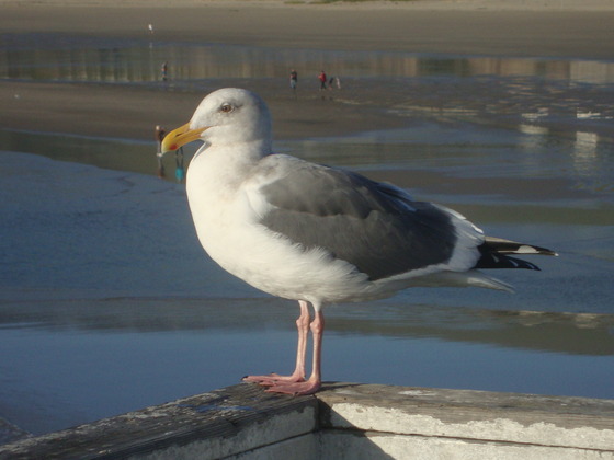 DSC05014