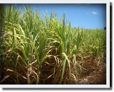 kako-6buk5KeOlpycFVf5