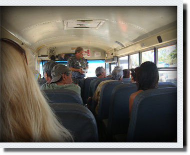 kako-hxg8371d8SuKHOHd