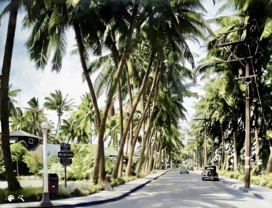 AB90B699-6648-45DB-9C1B-F3613BEF2C27