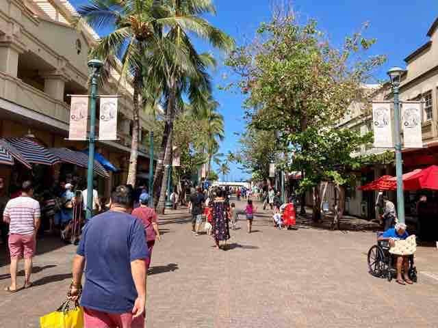 チャイナタウンのホームレスは減ったのか 楽園ハワイと私