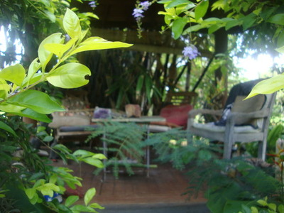 DSC09633