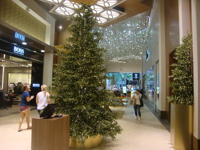 DSC00655
