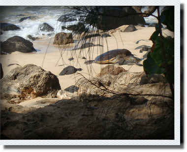 kako-SivpykbBmbmJImKH