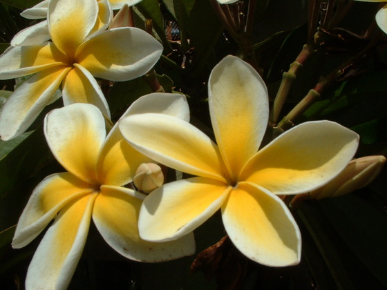 200901