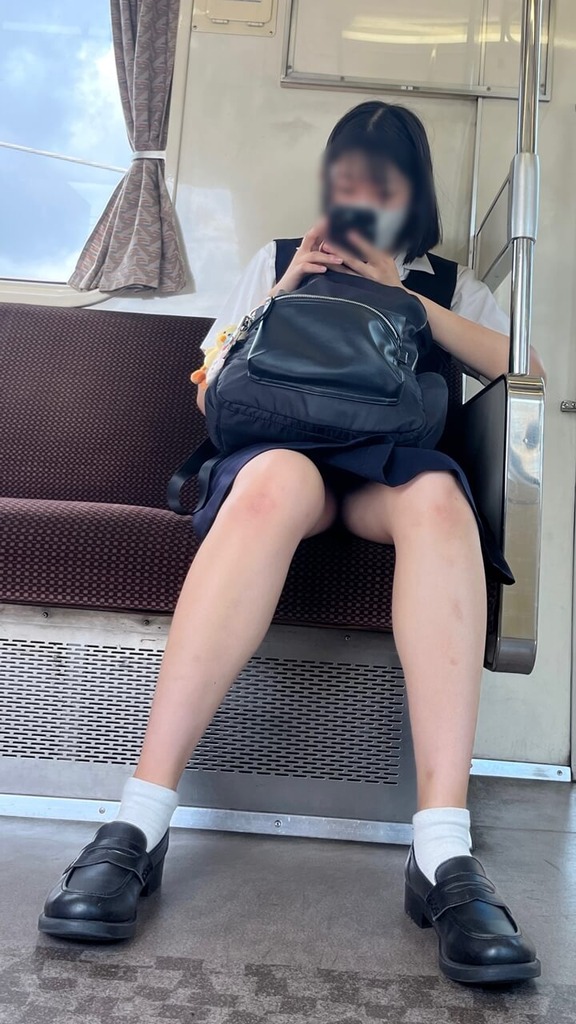 【画像】現役女子高生と遭遇できるなら電車に乗りたくなるよな