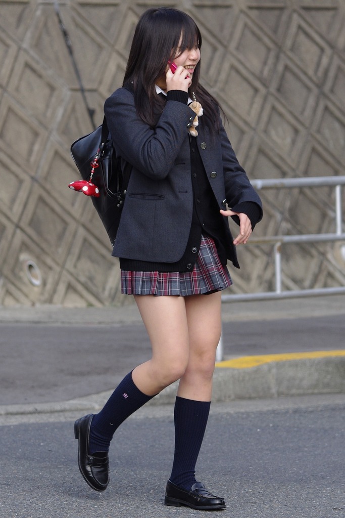 見るとナデナデしたくなる女子高生のムチムチ太もも