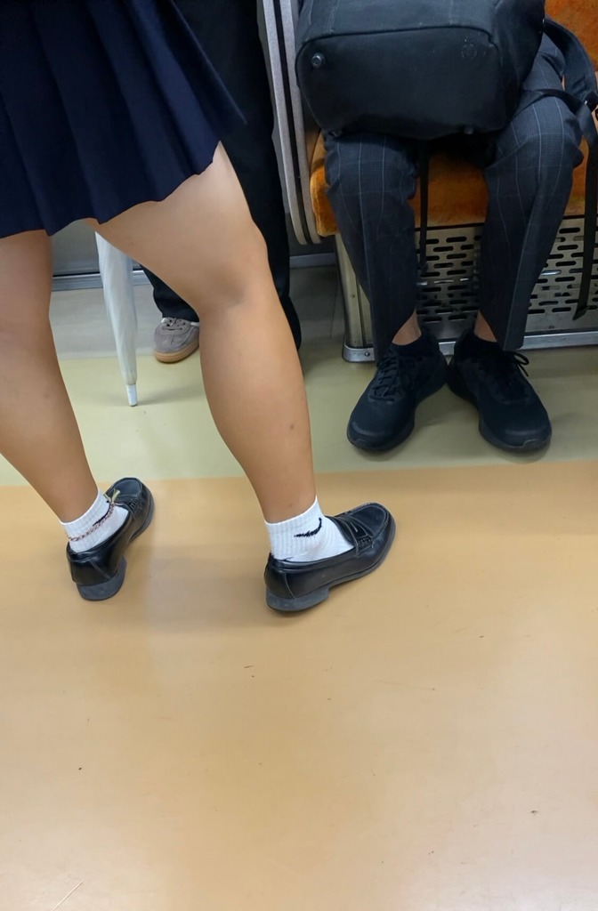 密室の電車内で女子高生のムチムチ太ももをガン見放題できるからいいよなww