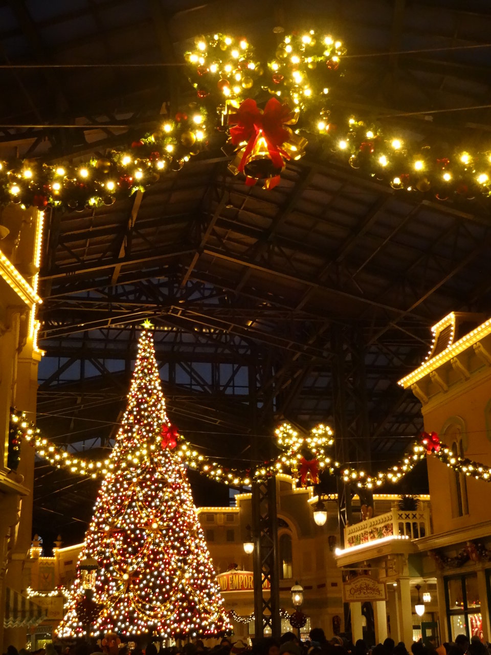14 ディズニーランドクリスマスイルミネーション オカンカンの徒然なるままに