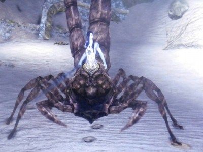 ダークソウル２プレイ記11 虚ろの影の森 ぼっ遅報