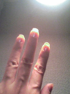 光に透かせてみると ぼちもの就活日記