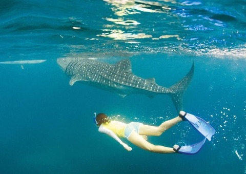 AKR20251224094000518_02_i_P4_20251226070312285