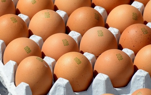 0003756756_001_20230410023308830