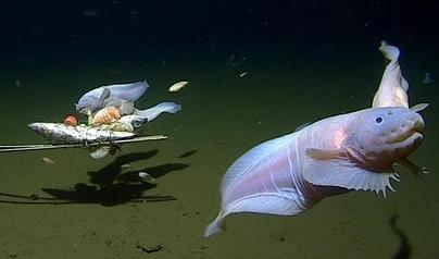 AKR20230403075500009_02_i_P4_20230403140815126