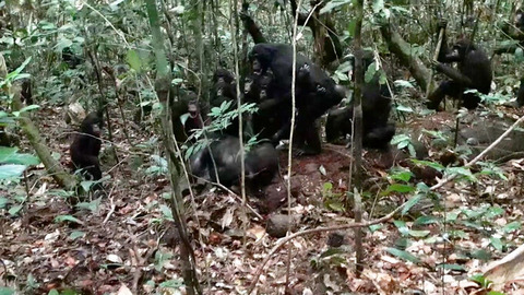 0002778631_002_20251128003416202