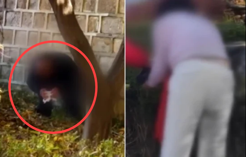 0003593166_001_20251119005012076