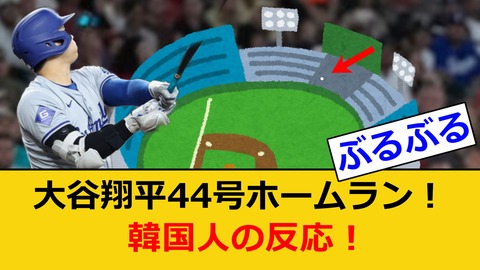 無題 2024-09-01 20-49-22