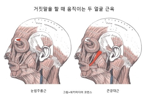 0002569374_002_20211126101901148