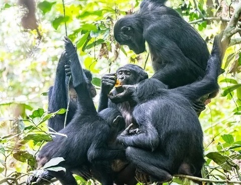 0002778631_001_20251128003416164