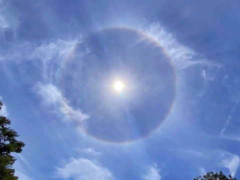 0003204144_001_20210725165607012