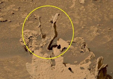 0003278300_001_20220607103701305