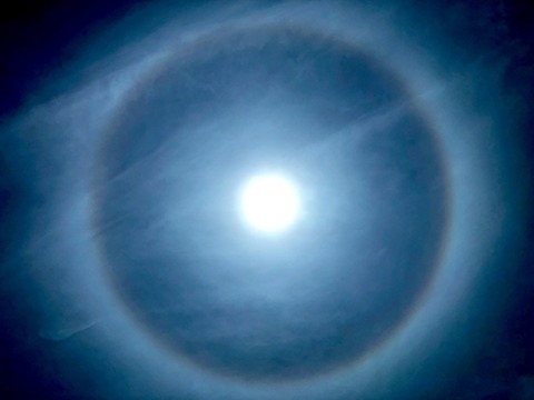 0003204144_003_20210725165607158