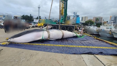 2025101611193564442_1760581175_0028833547_20251016122306563