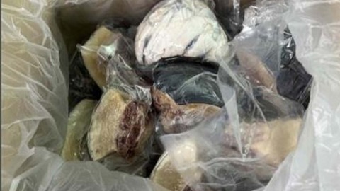 202302271402234172_t_20230227141701823