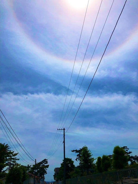 0003204144_004_20210725165607225