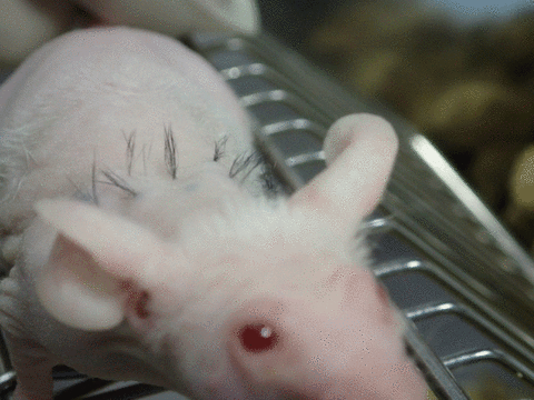 0000033306_002_20221105130101241