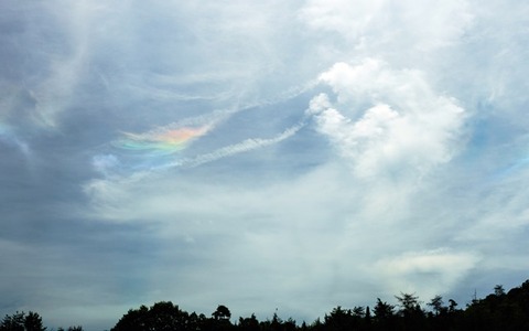 0003204144_005_20210725165607291